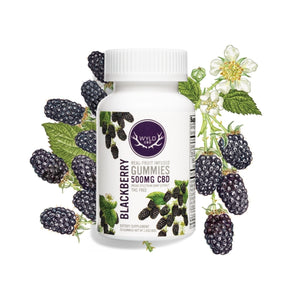 Wyld CBD Blackberry Gummies | 500MG