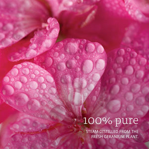 NOW Foods Essential Oils Geranium, 1 fl oz