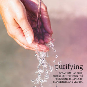 NOW Foods Essential Oils Geranium, 1 fl oz