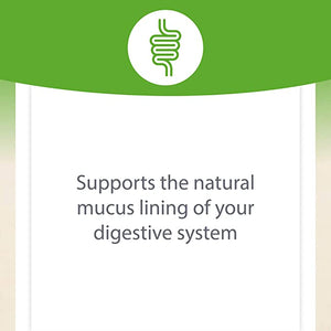 Natural Factors DGL Deglycyrrhizinated Licorice Root Extract, 180 Chewable Tablets