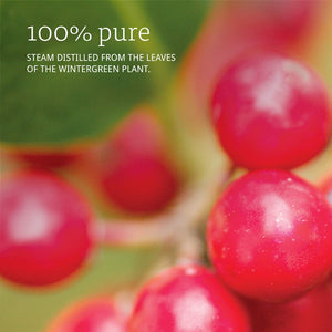 NOW Foods Essential Oils Wintergreen, 1 fl oz