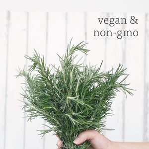 NOW Foods Essential Oils Rosemary, 4 fl oz