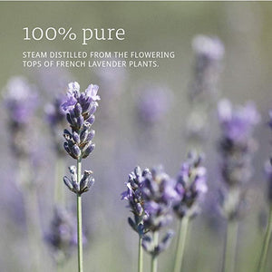 NOW Foods Essential Oils Lavender, 4 fl oz