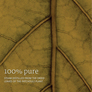 NOW Foods Essential Oils Patchouli, 4 fl oz