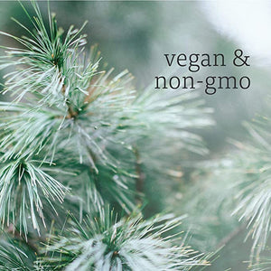 NOW Foods Essential Oils Pine Needle, 1 fl oz