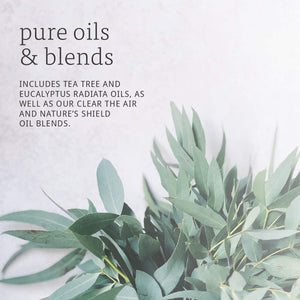 NOW Foods Seasonal Changes Balancing Essential Oils Kit, 1 Kit