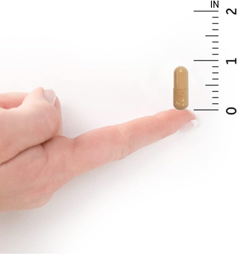 Garden of Life RAW Probiotics Vaginal Care Shelf Stable - 50 Billion CFU Guaranteed Through Expiration, Acidophilus - Once Daily - Certified Gluten Free - No Refrigeration - 30 Vegetarian Capsules