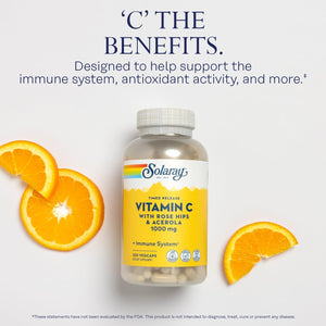 SOLARAY Vitamin C 1000 mg - High-Potency, All-Day Immunity, Blood Vessel Health and Collagen Synthesis Support - Vegan, Timed Release, 60-Day Guarantee - 250 Servings, 250 Vitamin C Capsules