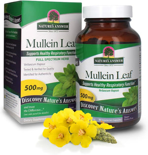 Nature's Answer Mullein Leaf Capsules 90 - Alcohol Free, Vegetarian, Vegan, Gluten Free - Mullein capsuels for Lungs - Supports Respiratory Function & Lung Health