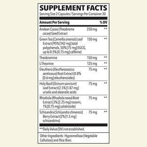 LifeSeasons Energy - Vitality Support - Energy Booster for Physical and Cognitive Strength - No Jitters - Increases Stamina - Contains Green Tea and L-Theanine - 60 Count