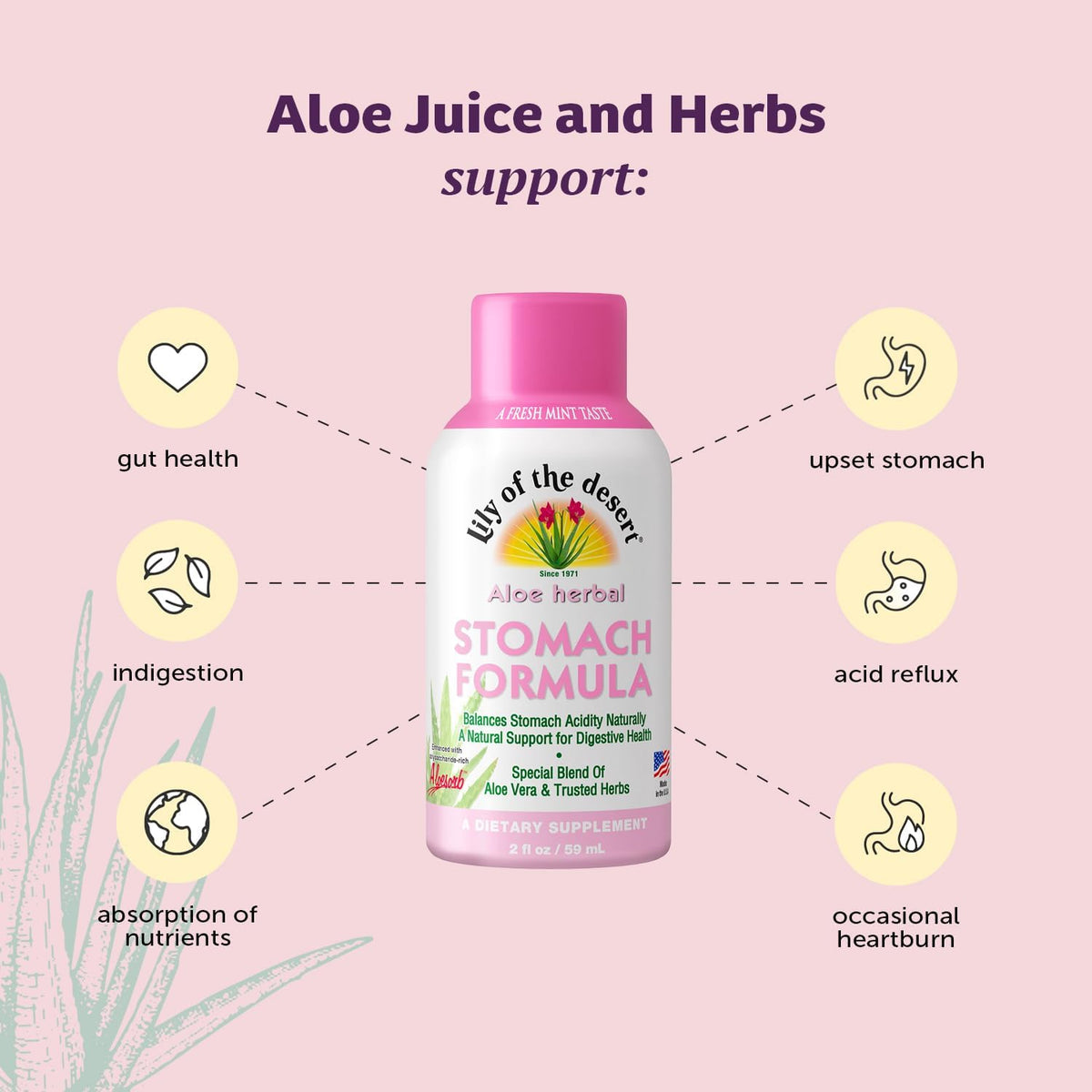 Lily of the Desert Aloe Herbal Stomach Formula Fresh Mint 2 OZ