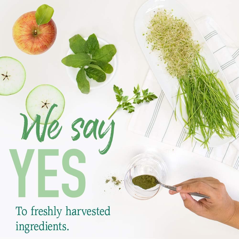 Garden of Life Raw Organic Perfect Food Energizer Juiced Green Superfood Powder - Yerba Mate Pomegranate, &amp; Probiotics, Gluten Free Whole Food Greens Supplements, 30 Servings, 9.73 Oz