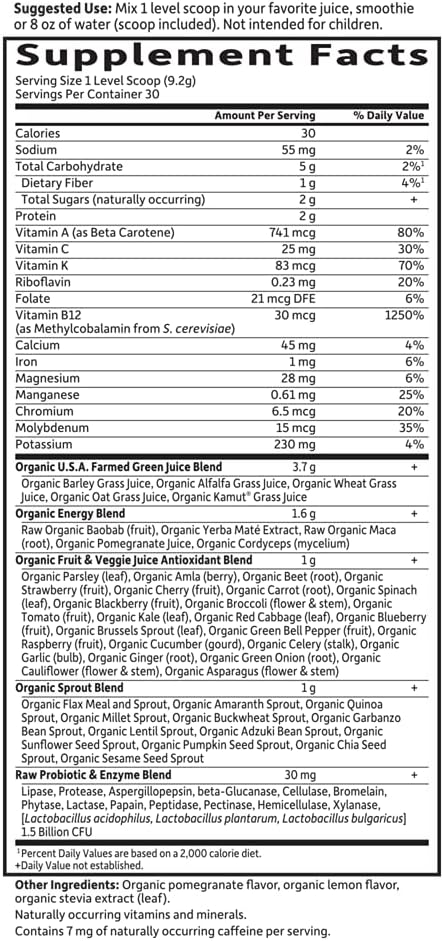 Garden of Life Raw Organic Perfect Food Energizer Juiced Green Superfood Powder - Yerba Mate Pomegranate, &amp; Probiotics, Gluten Free Whole Food Greens Supplements, 30 Servings, 9.73 Oz