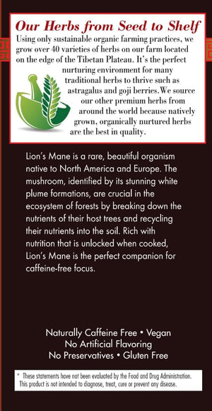 Bravo Tea Lion's Mane Mushroom Herbal Tea Caffeine Free, 20 tea bags, 1 count