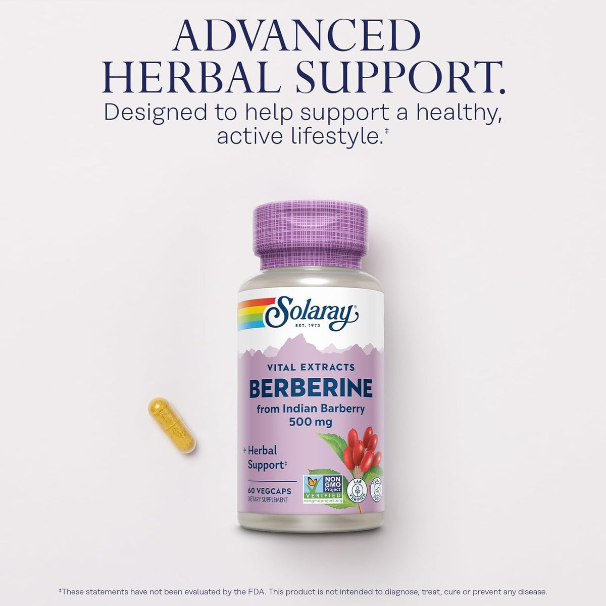 SOLARAY Berberine 500mg - Berberine Supplement for a Healthy, Active Lifestyle - with Berberine HCl from Indian Barberry - Vegan, Non-GMO, 60-Day Guarantee, Lab Verified - 60 Servings, 60 VegCaps