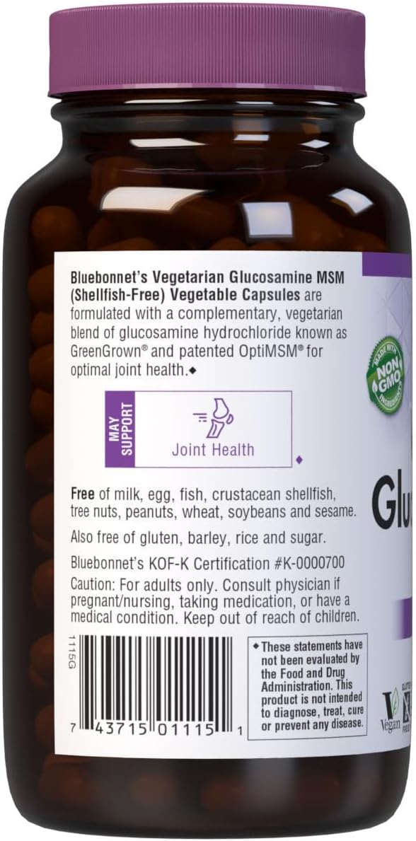 BlueBonnet Vegetarian Glucosamine Plus MSM Supplement, 120 Count