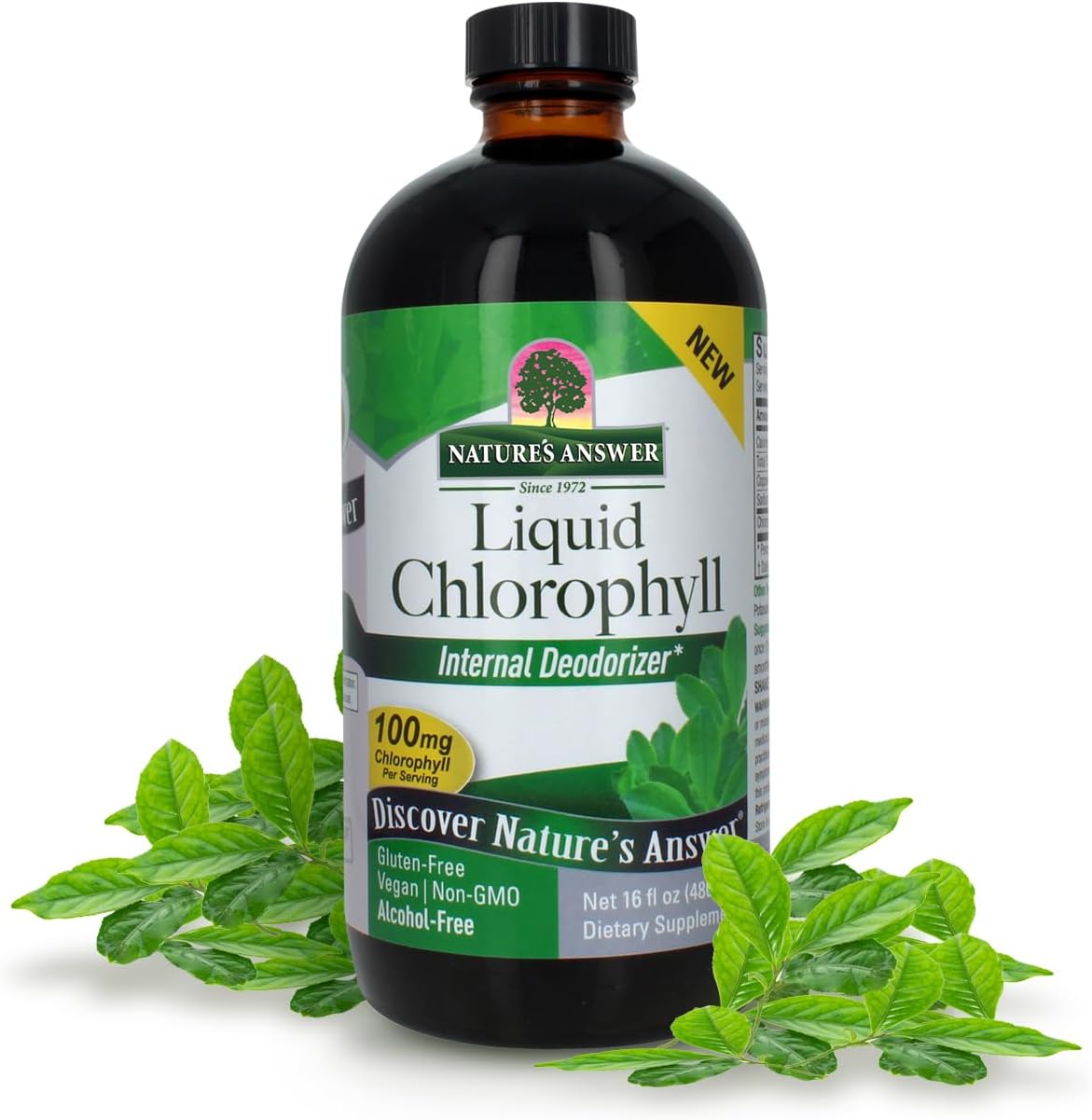 Nature's Answer Liquid Chlorophyll, 100 mg, 16 fl oz (480 ml)