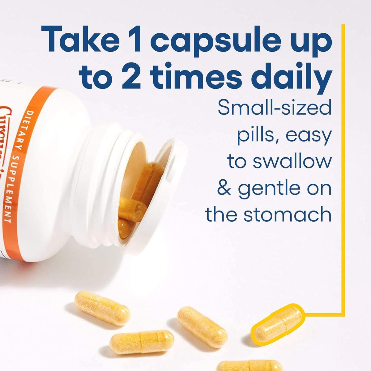 Natural Factors CurcuminRich™ Theracurmin™, 120 Vegetarian Capsules