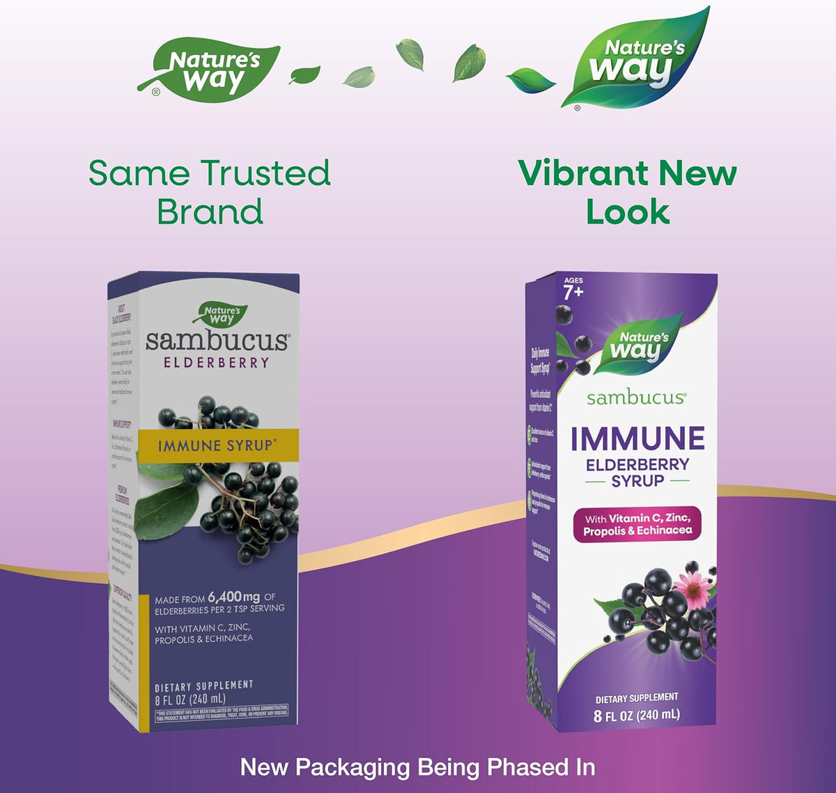 Nature&#39;s Way Sambucus Immune Elderberry Syrup, Elderberry extract Vitamin C and Zinc with Propolis &amp; Echinacea for Immune Support*, Gluten Free, Vegetarian, 8 Fl Oz