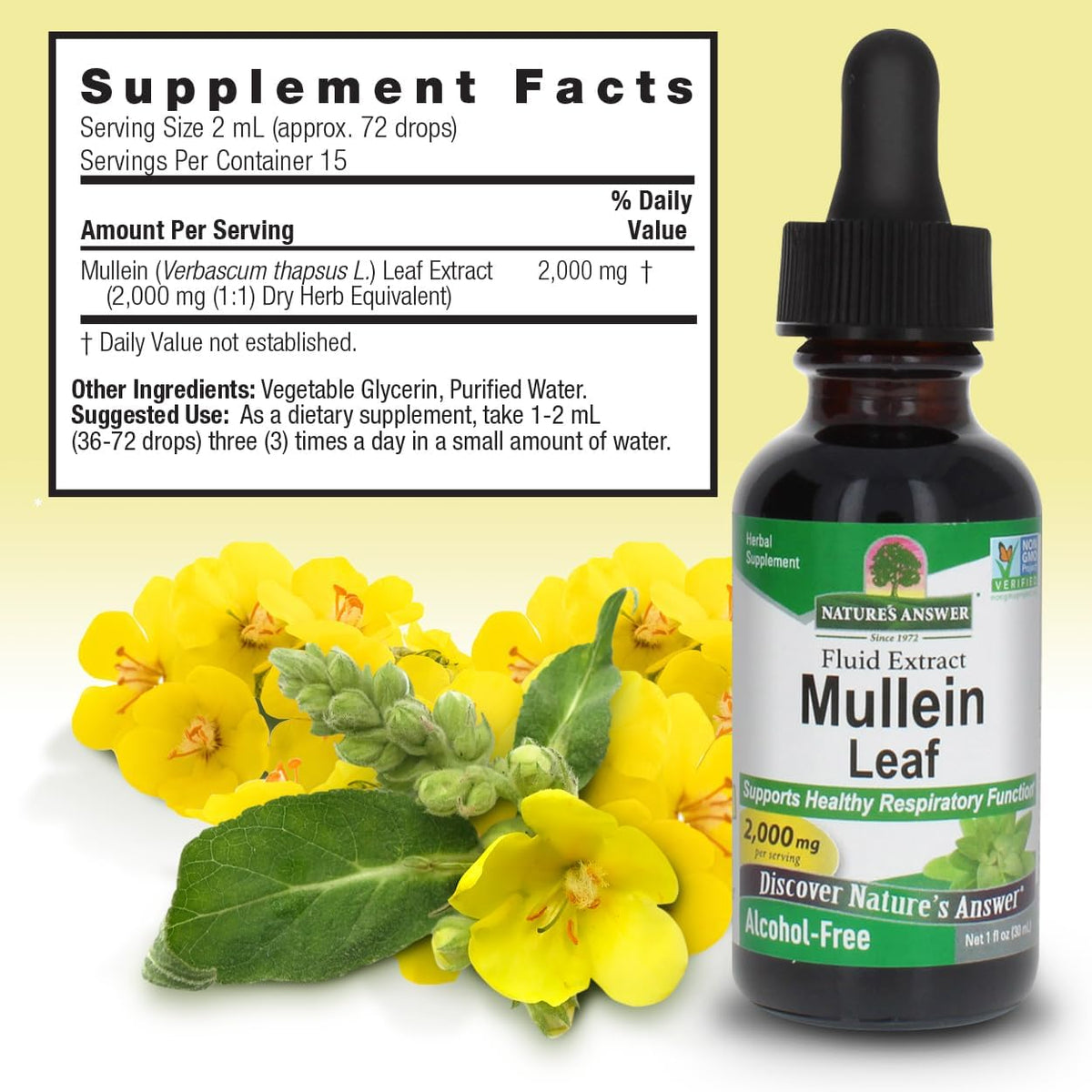 Nature&#39;s Answer Mullein Drops for Lungs, Alcohol-Free, 1 Ounce Mullein Leaf Extract for Lungs, Supports Respiratory Function, Promotes Healthy Lungs, Non-GMO, Made in USA