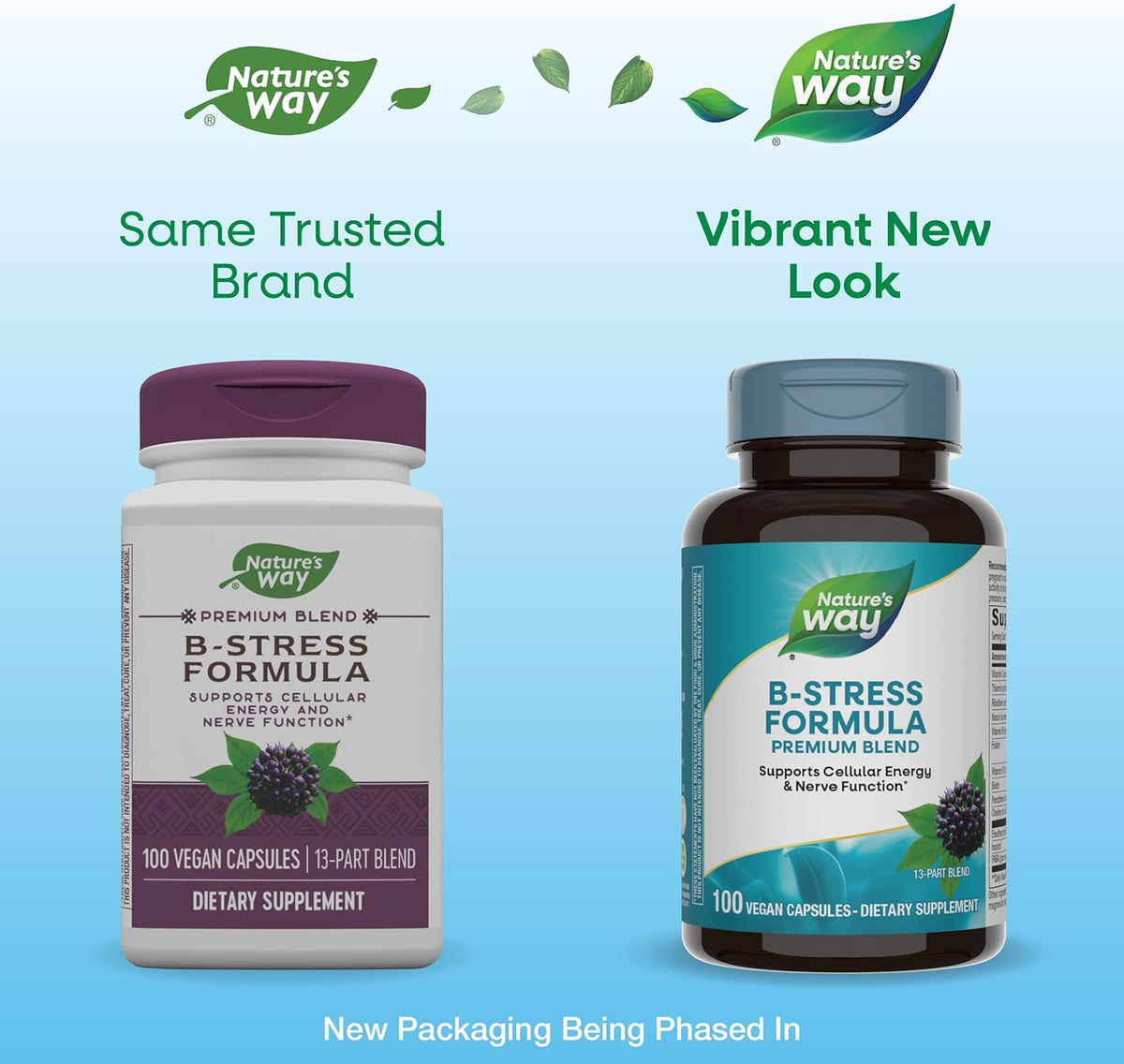 Nature&#39;s Way B-Stress Formula, Supports Cellular Energy &amp; Nerve Function*, With Vitamins C, B12, Vitamin B6 &amp; More, Gluten Free, 100 Vegan Capsules