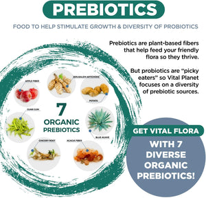 Vital Planet - Vital Flora Probiotics for Women 60 Billion CFU, Diverse Strains, Daily Shelf Stable Probiotic with Organic Prebiotics, for Vaginal Support, Immune and Digestive Health 60 Capsules