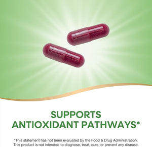 Nature's Way Beet Root, Supports Antioxidant Pathways*, Helps Neutralize Free Radicals*, 1,000 mg per 2-Capsule Serving, Vegan, 320 Capsules