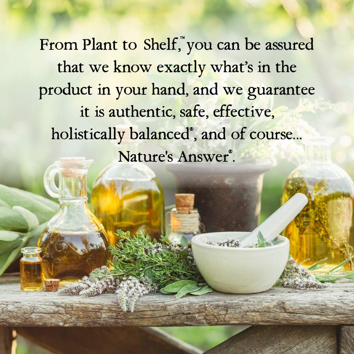 Nature&#39;s Answer Milk Thistle 2000 mg 1oz Extract | Promotes Liver Function | Non-GMO, Kosher Certified, Gluten-Free