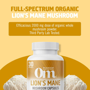 OM MUSHROOM SUPERFOOD Lion's Mane Mushroom Capsules Superfood Supplement, 90 Count, 30 Day Supply, Fruit Body and Mycelium Nootropic for Memory, Focus, Nerve Health and Immune Support