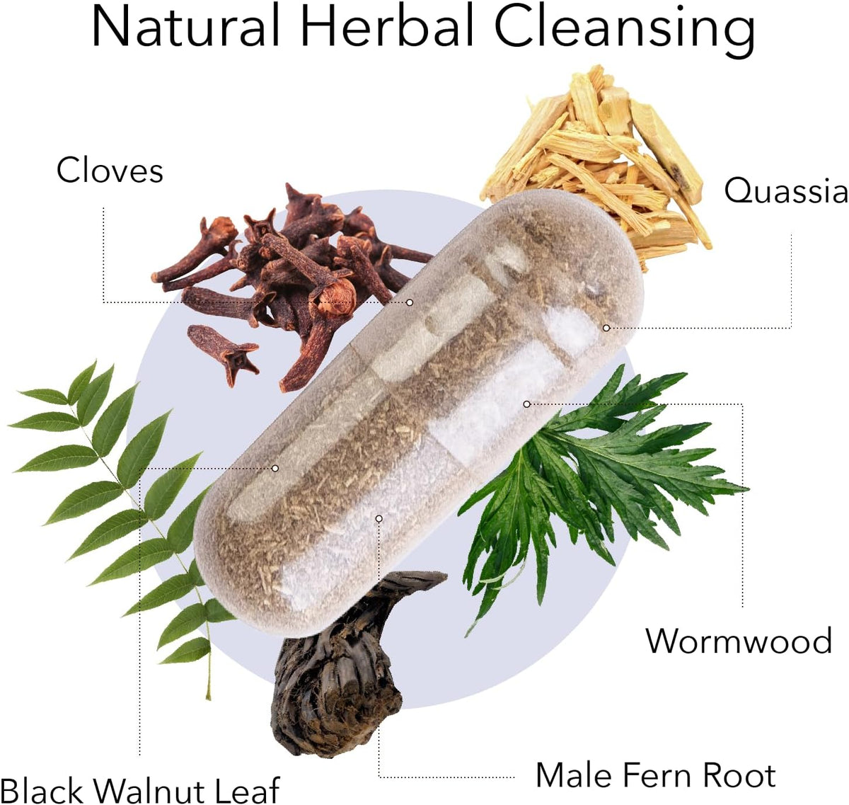 Kroeger Herb Products, Wormwood Herb, Black Walnut, Clove, Quassia, Worm Wood Detox Cleanse - Vegetarian Capsules, Non-GMO, Gluten Free, No Preservatives or Fillers - 100 Capsules, Made in USA