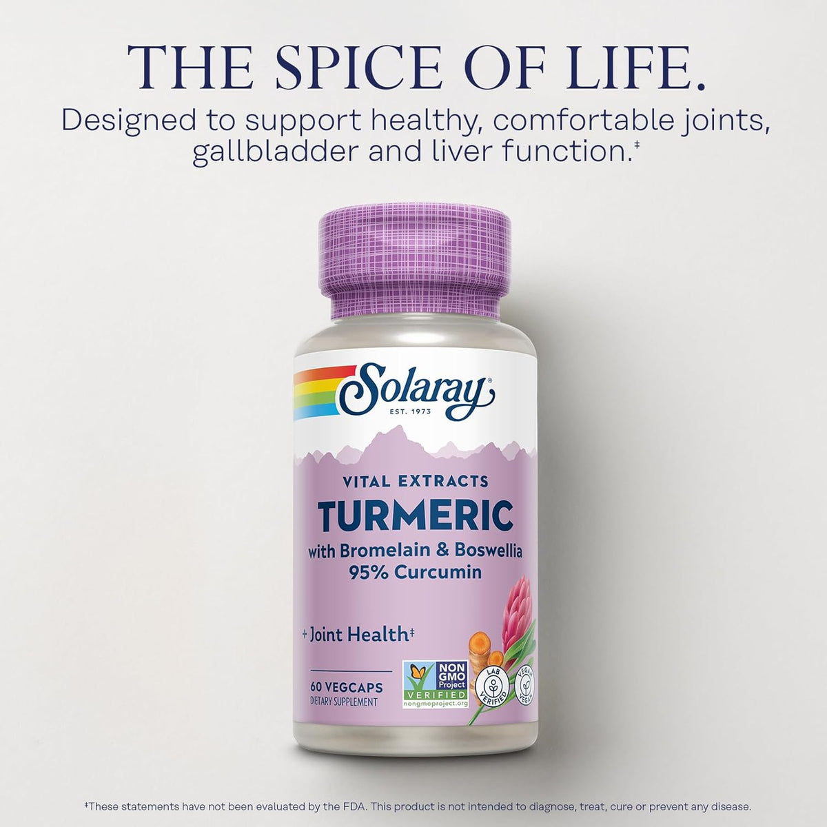 SOLARAY Turmeric Supplement with Bromelain and Boswellia, 95% Curcumin, Turmeric Curcumin Supplement for Joint Support, Gallbladder, Liver Support, Non-GMO, Vegan, 60-Day Guarantee, 60 Servings