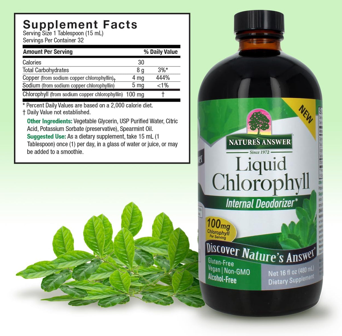 Nature's Answer Liquid Chlorophyll, 100 mg, 16 fl oz (480 ml)