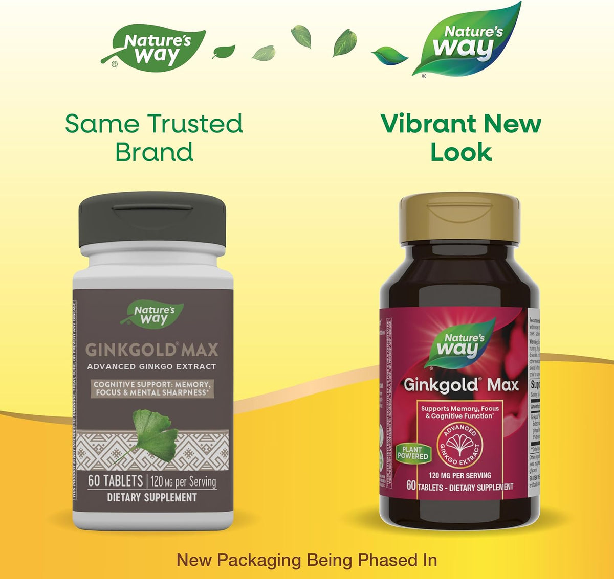 Nature's Way Ginkgold Max Advanced Ginkgo Extract, Supports Memory, Focus, and Concentration, and Cognitive Function*, Gluten free, Vegan, 60 Vegan Tablets