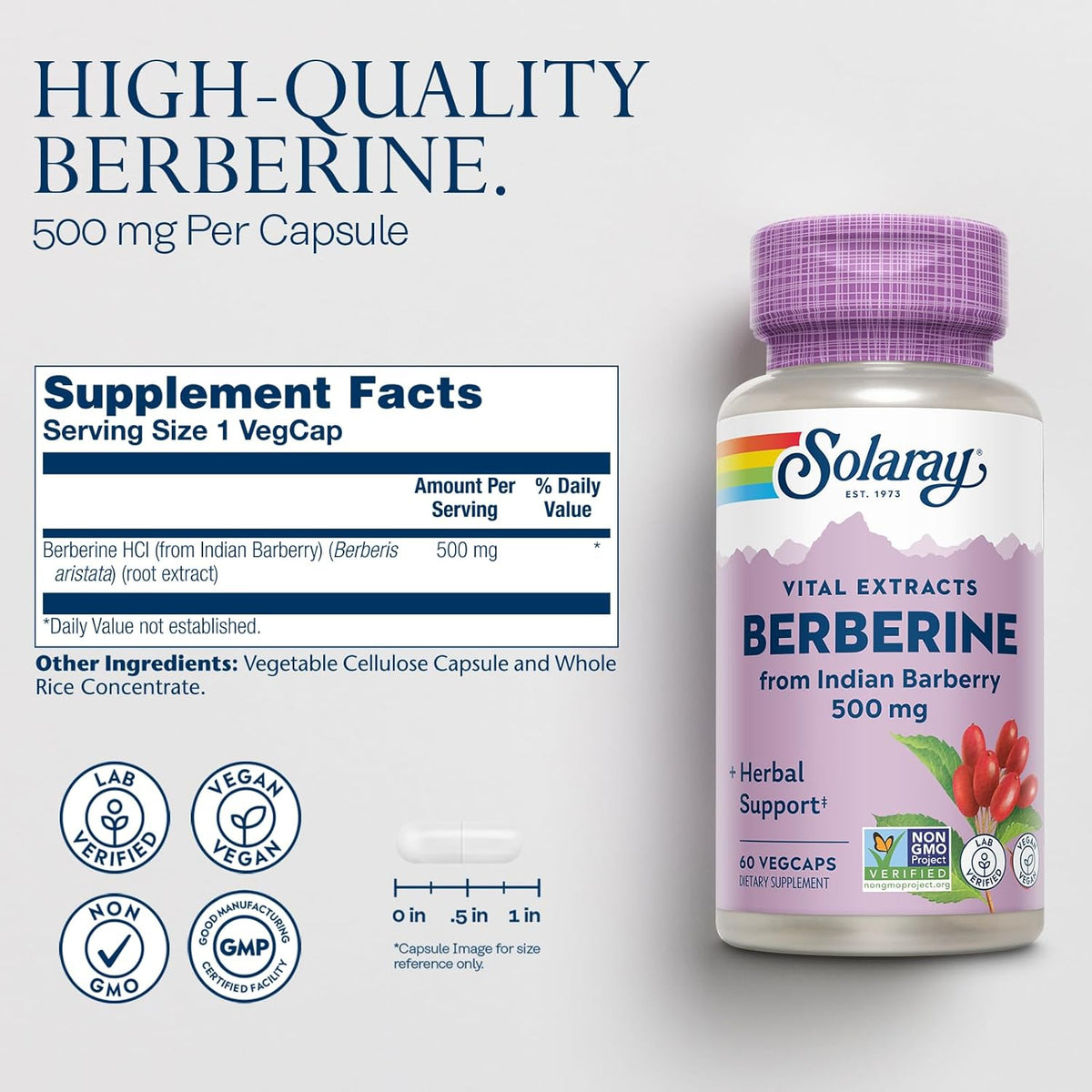 SOLARAY Berberine 500mg - Berberine Supplement for a Healthy, Active Lifestyle - with Berberine HCl from Indian Barberry - Vegan, Non-GMO, 60-Day Guarantee, Lab Verified - 60 Servings, 60 VegCaps