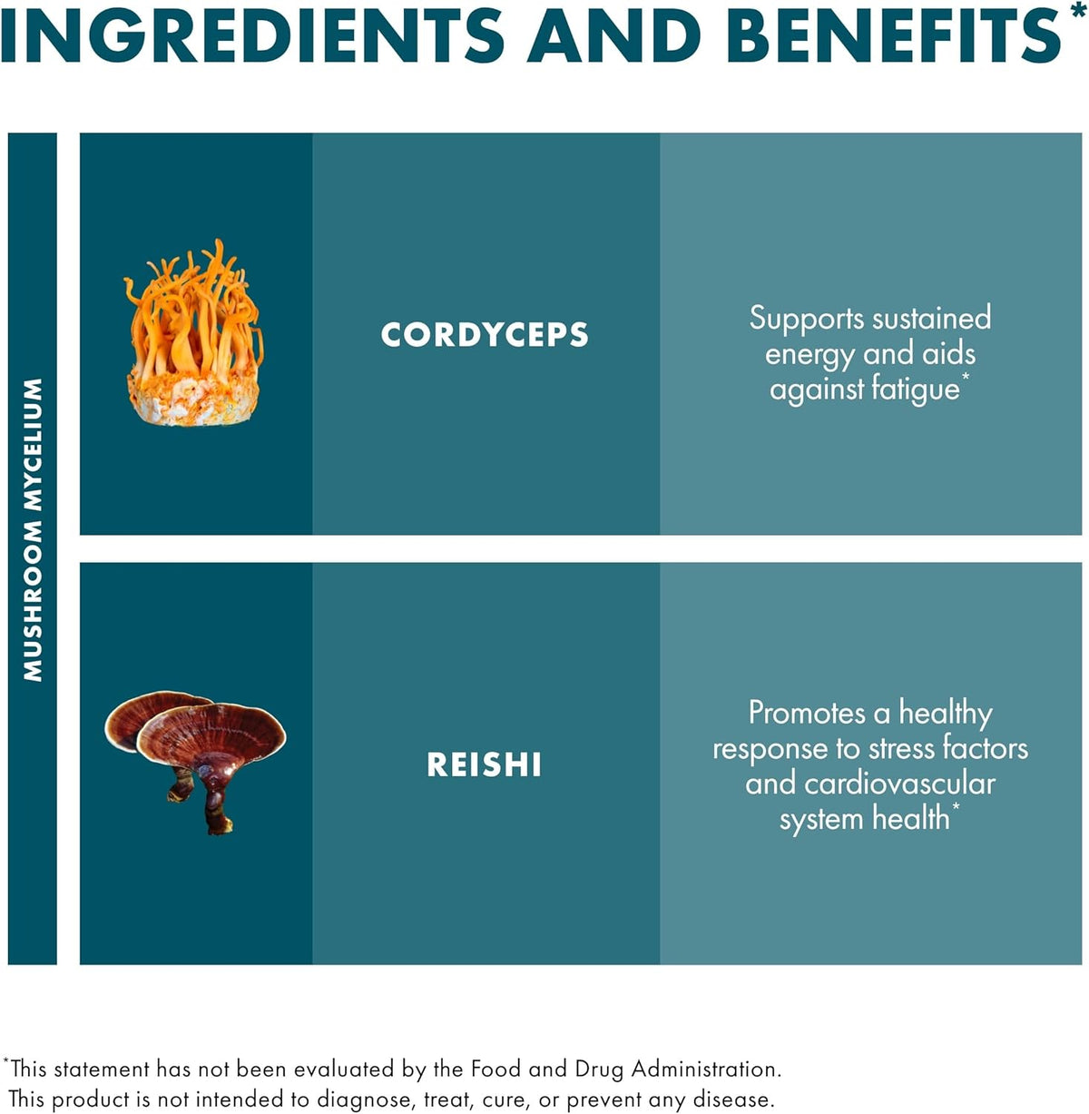 Host Defense CordyChi Extract - Energy & Immune Support Supplement - Cordyceps & Reishi Mushroom Supplement for Relaxation & Respiratory Support - Aids Against Tiredness - 1 fl oz