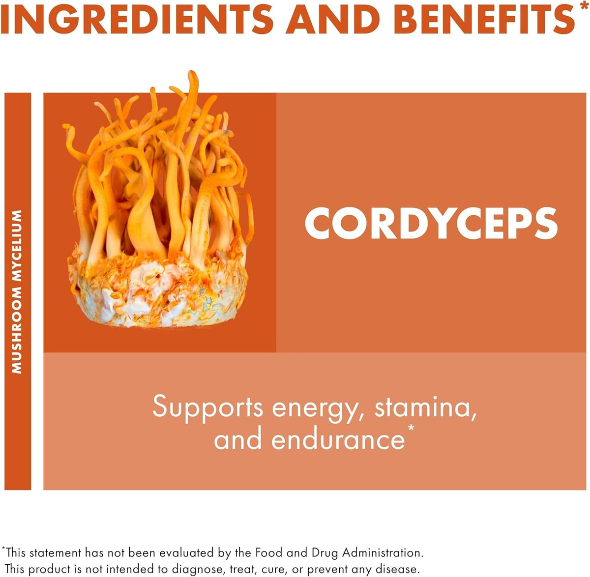 Host Defense Cordyceps Capsules - Immune &amp; Energy Support Supplement - Kidney Health Supplement with Cordyceps - Fitness Support Supplement to Aid Oxygen Uptake - 30 Capsules