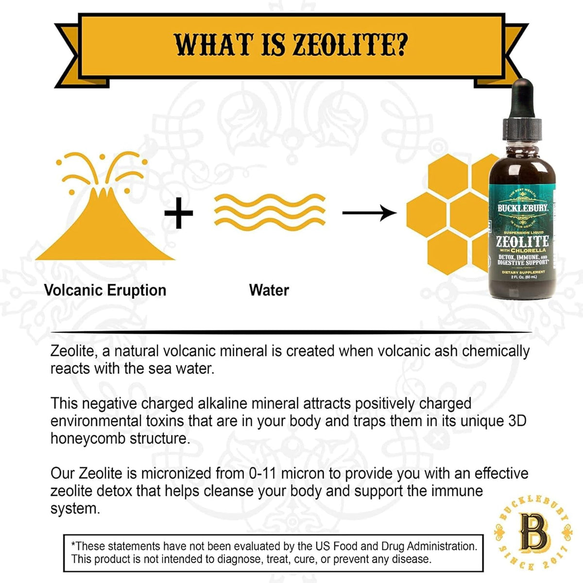 Zeolite Liquid Suspension w/Chlorella - Detox Support, Immune System and Digestive Tract Health Support for Kids and Adults (60 Servings)