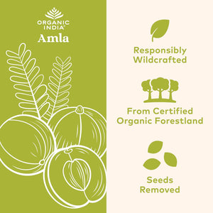 ORGANIC INDIA Amla Powder - Amalaki Indian Gooseberry, Immune Support, Vitamin C for Immune System, Vegan, Ayurvedic Superfood, Antioxidants, Non-GMO, Amla Powder for Hair Growth, Organic - 1 Lb
