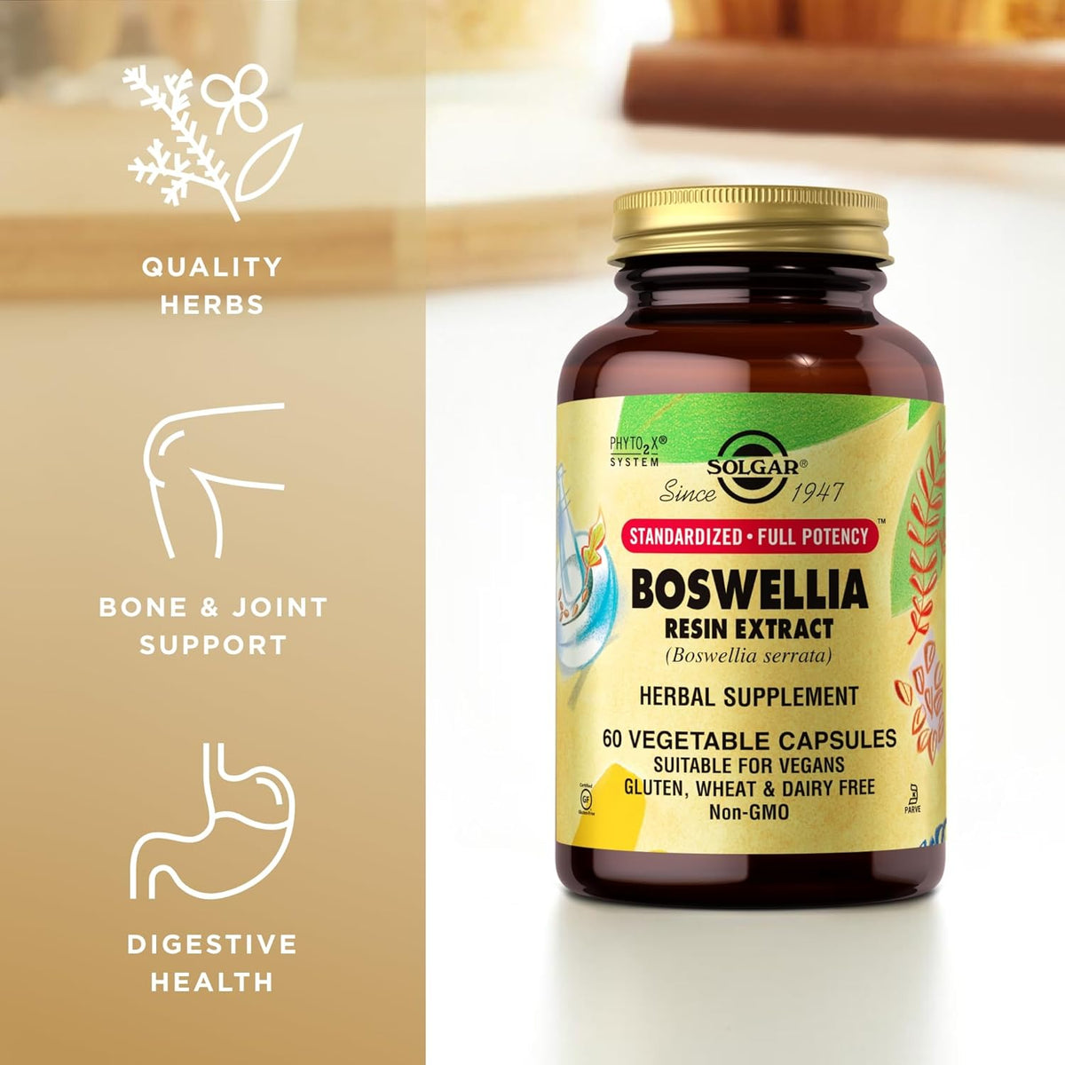 Solgar Boswellia Resin Extract, 60 Vegetable Capsules