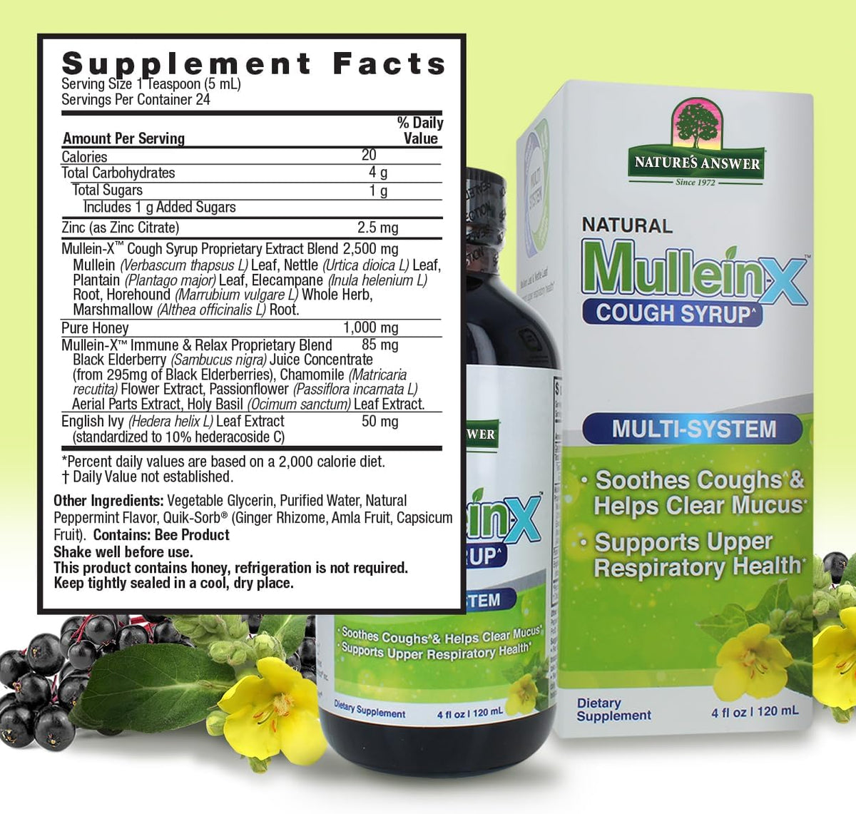 Nature&#39;s Answer Mullein-X Multi System Cough Syrup 4 Ounce | Soothes Coughs &amp; Clears Mucus | Respiratory Support | Non GMO Gluten Free
