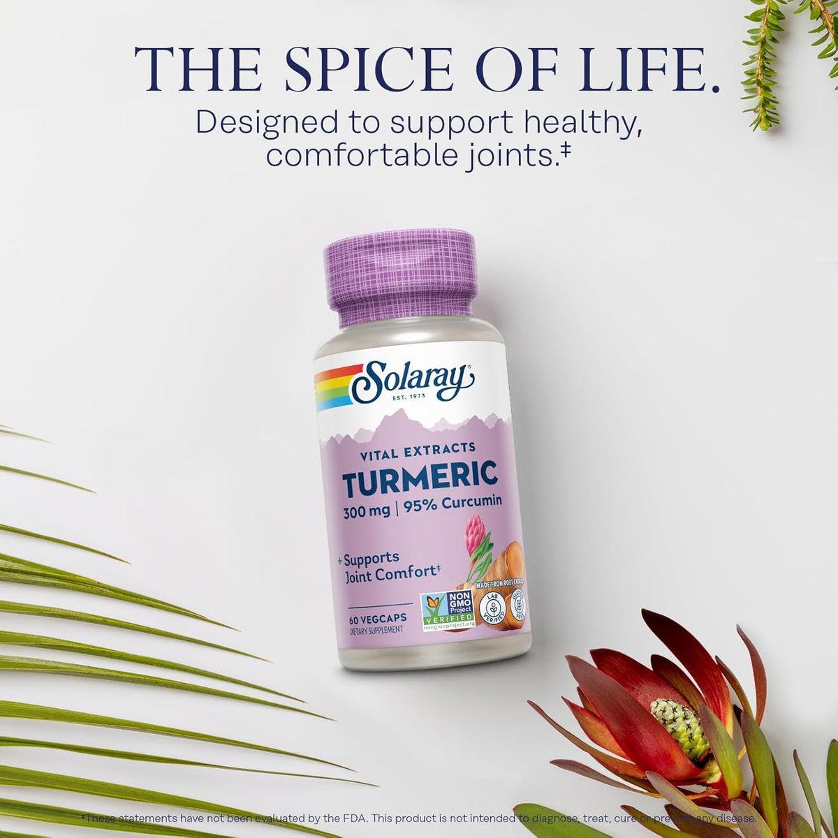 SOLARAY Turmeric Supplement 300 mg - Turmeric Root Extract with 95% Curcumin - Joint Support Supplement for Joint Health and Comfort - Non-GMO, Vegan, Gluten Free, 60-Day Guarantee, 60 Servings