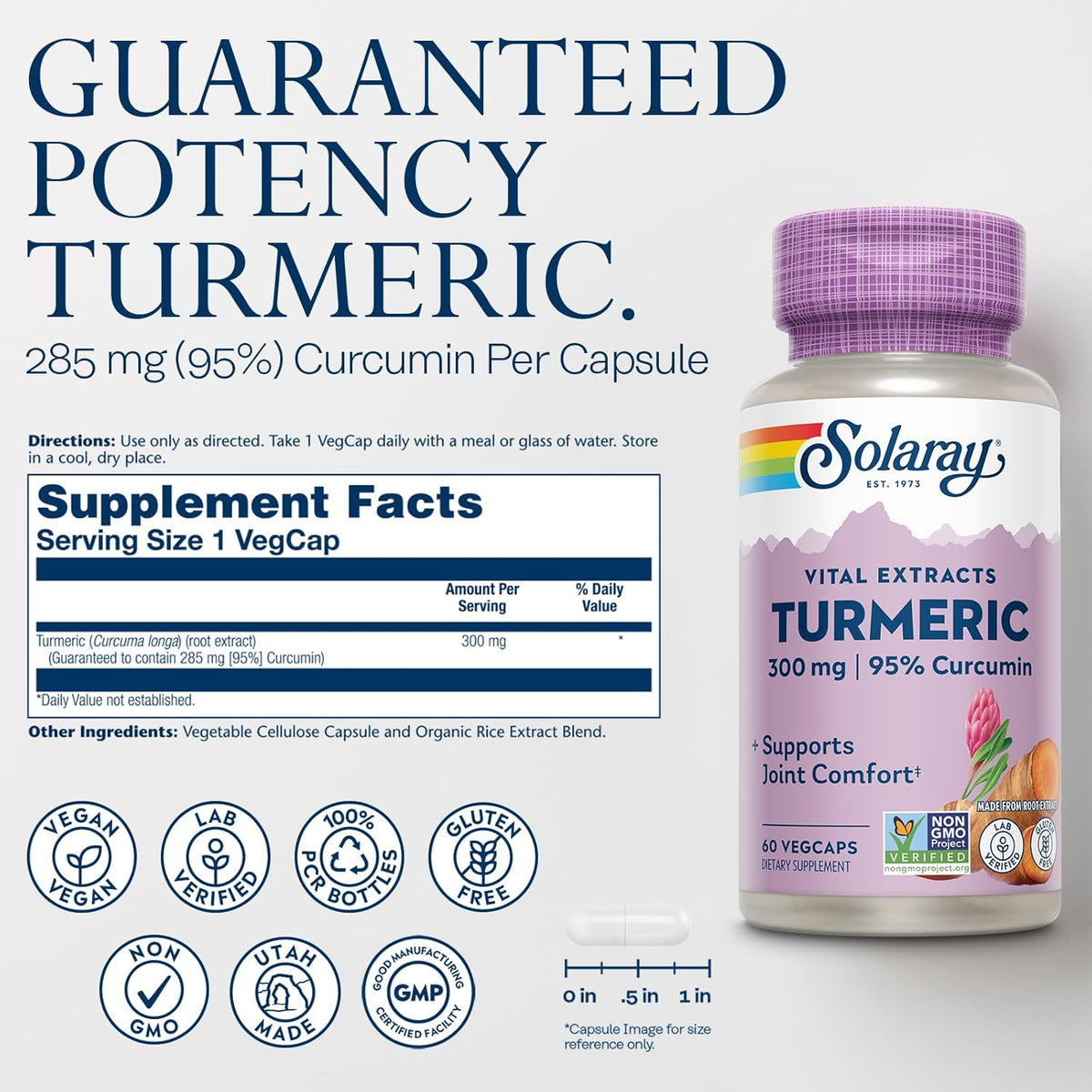 SOLARAY Turmeric Supplement 300 mg - Turmeric Root Extract with 95% Curcumin - Joint Support Supplement for Joint Health and Comfort - Non-GMO, Vegan, Gluten Free, 60-Day Guarantee, 60 Servings