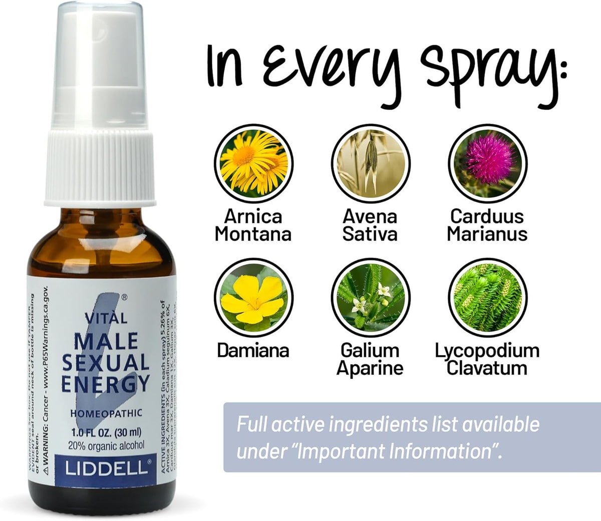 Liddell Homeopathic Vital Male Sexual Energy - 1fl oz