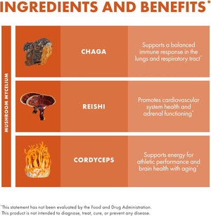 Host Defense Breathe* Extract - Immune & Respiratory Support Mushroom Liquid Supplement - Herbal Lung Health Supplement with Chaga, Reishi & Cordyceps - 1 fl oz (30 Servings)