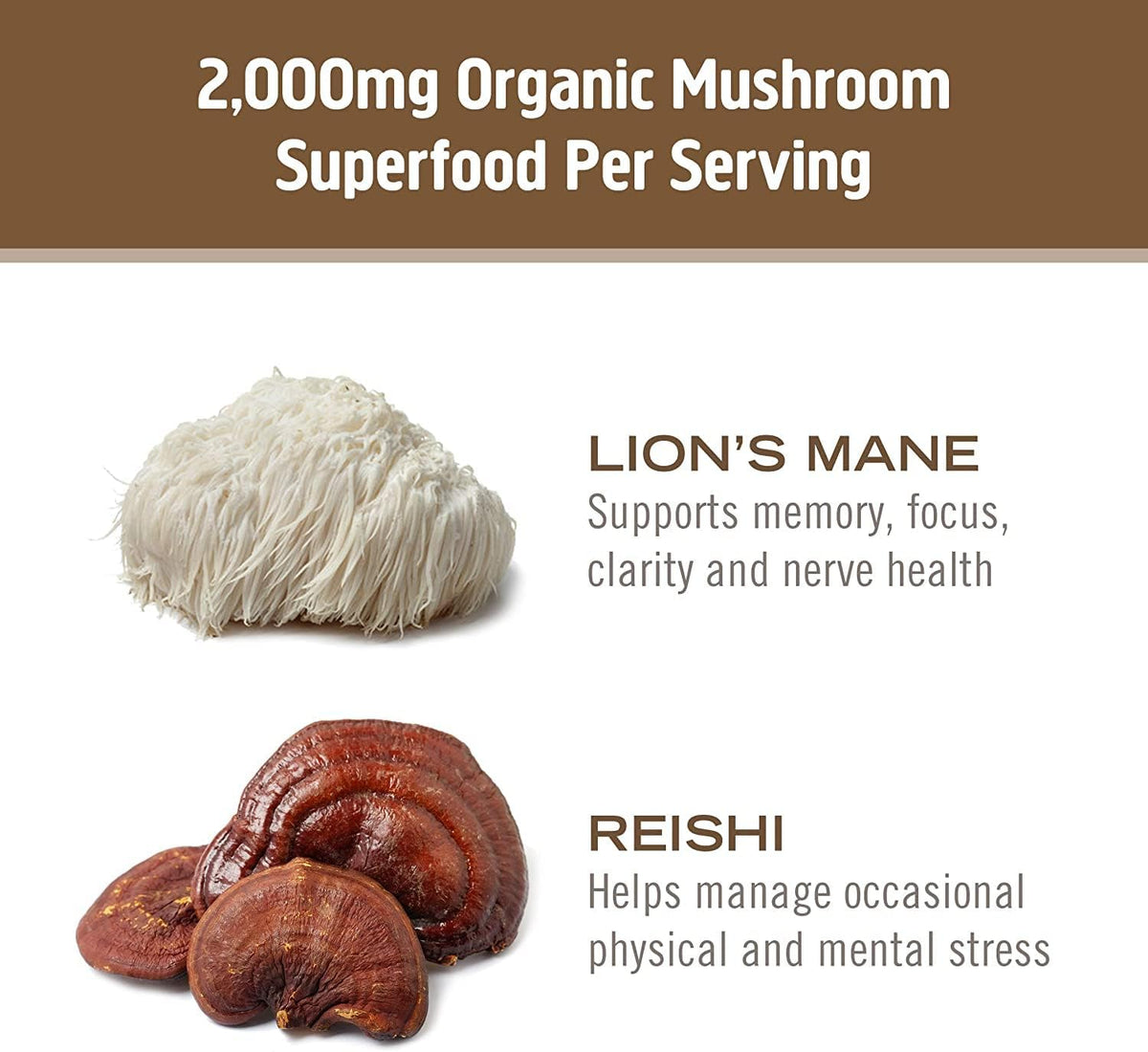 OM MUSHROOM SUPERFOOD Brain Fuel Mushroom Powder Capsules Superfood Supplement, 90 Count, 30 Days, Lion&#39;s Mane, Reishi Blend Plus Folate, Mental Clarity, Mushroom Supplement