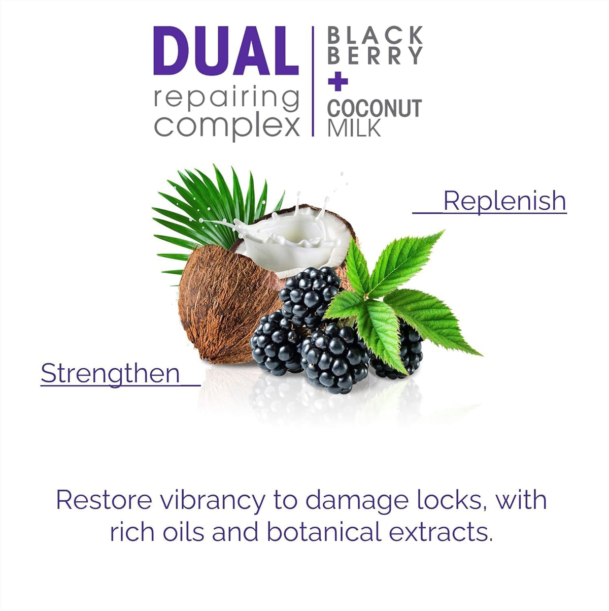 GIOVANNI 2chic Ultra-Repairing Conditioner - For Damaged, Over-Processed Hair, Helps Restore Hair&#39;s Natural Elasticity, Blackberry &amp; Coconut Milk, Argan, Keratin, Shea Butter - 8.25 oz. Each