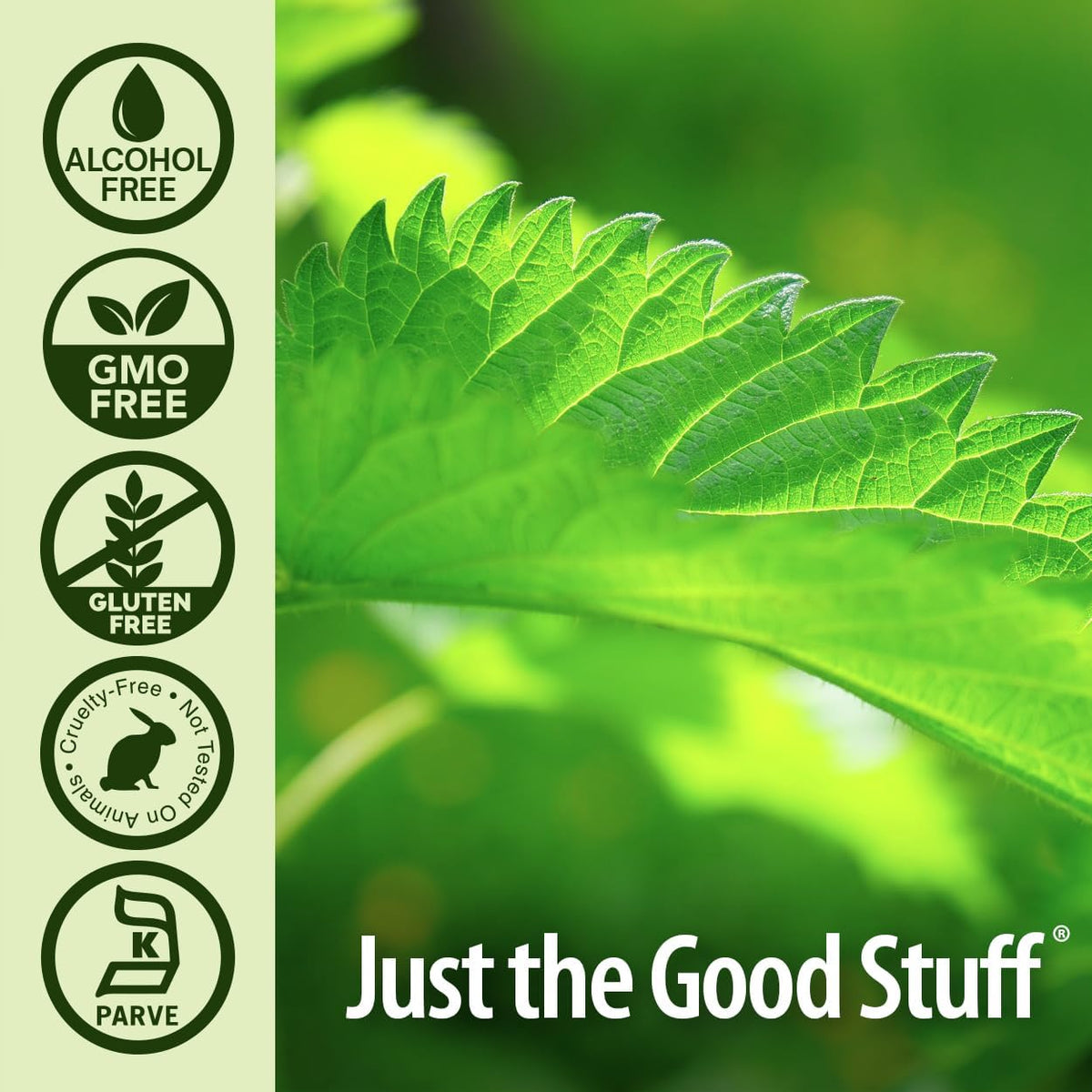 Nature&#39;s Answer Nettle Extract 1 Ounce – Gluten Free, Non-GMO, Alcohol-Free, Kosher, Supports Prostate Function &amp; Male Wellness – Made in The USA, Functional for Nettle Tea