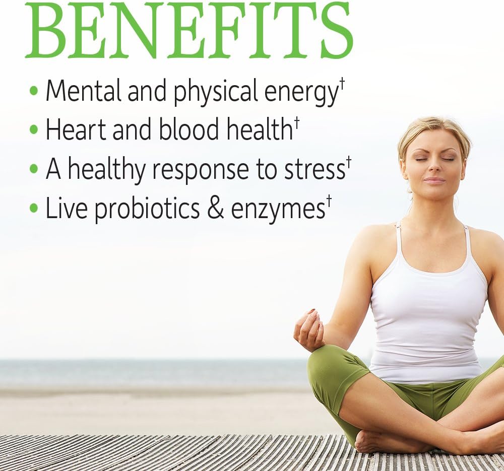 Garden of Life Vitamin B Complex, 60 Vegan Capsules, High Potency Vitamins for Energy & Metabolism with B6, Folate & B12 as Methylcobalamin Plus Probiotics