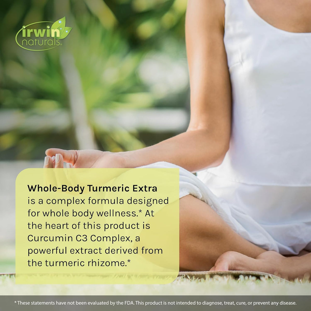 Irwin Naturals Whole-Body Turmeric + Curcumin C3 Complex - 120 Liquid Soft-Gels - with Boswellia, Maritime Pine Bark, MSM &amp; Rose Hip