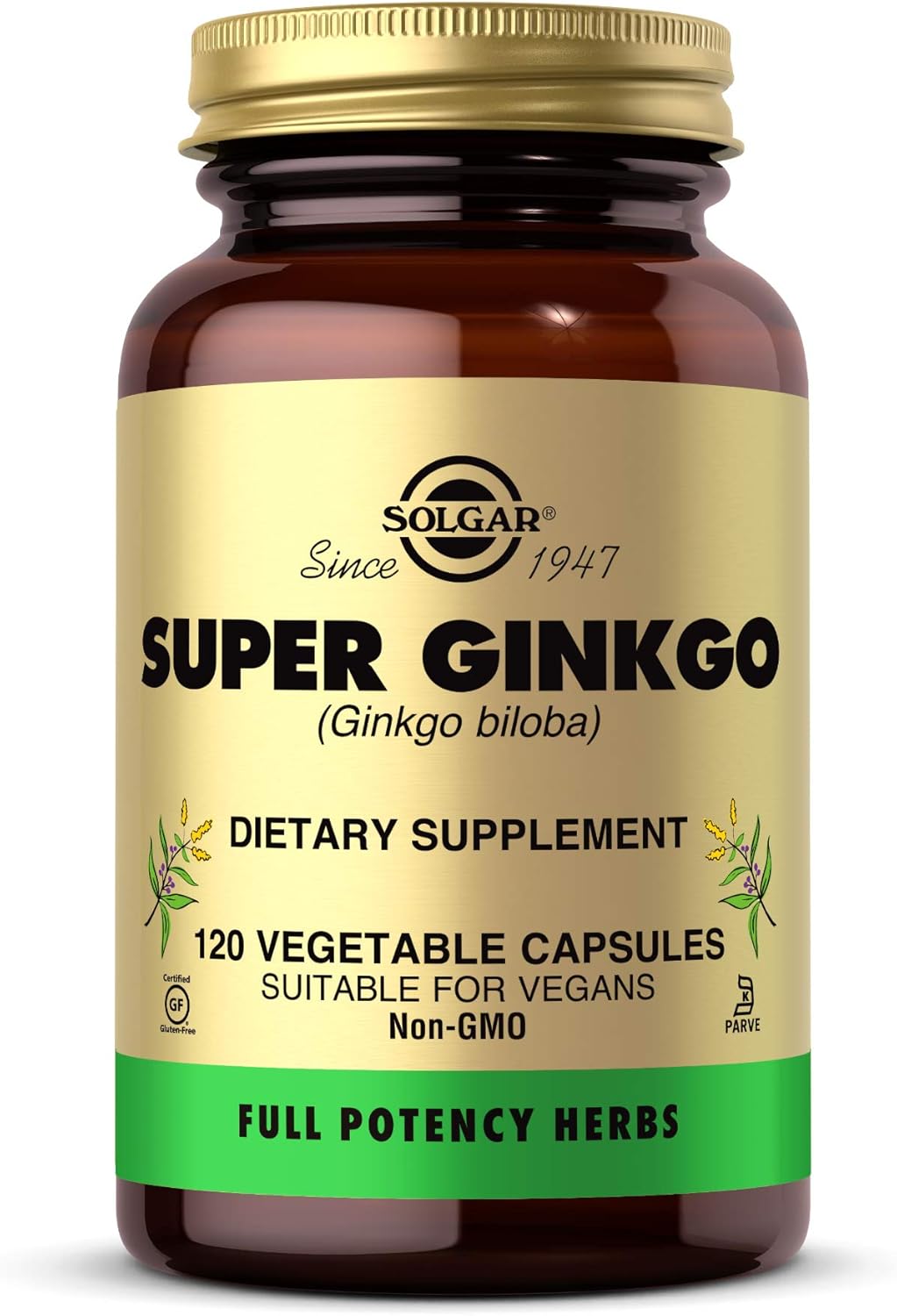 Solgar Super Ginkgo, 120 Vegetable Capsules - Full Potency (FP) - Antioxidant &amp; Nervous System Support - Brain Health - Non-GMO, Vegan, Gluten Free, Dairy Free, Kosher - 120 Servings